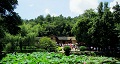 長沙出發(fā)到花明樓、韶山、張家界國家森林公園、天門仙山國家森林公園四日游
