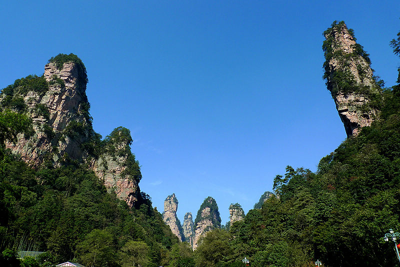 張家界國家森林公園、黃龍洞、天門山、鳳凰古城純玩五日游