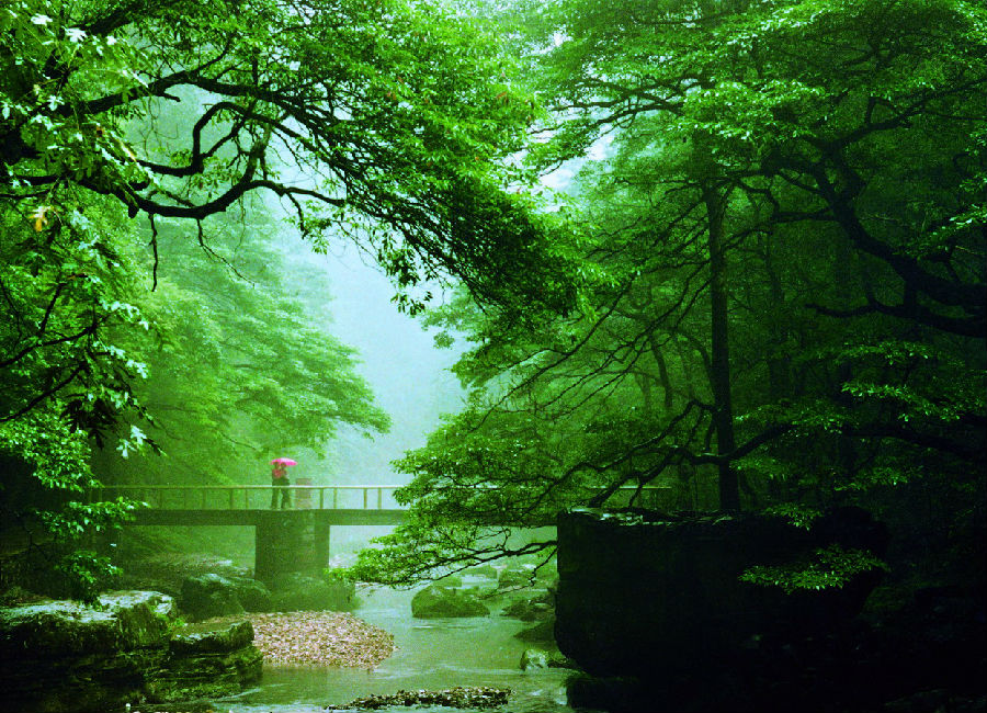 跳魚潭.jpg